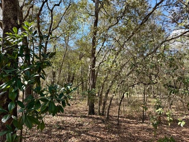 Image 2 of 7 For Tba 66th Place