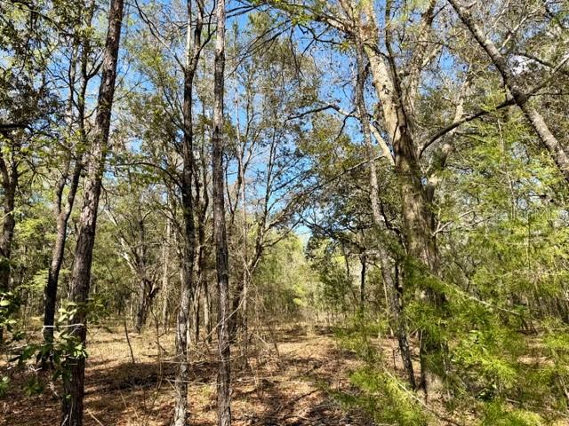 Image 5 of 7 For Tba 66th Place