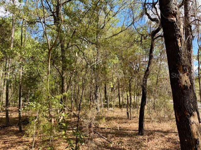 Image 6 of 7 For Tba 66th Place