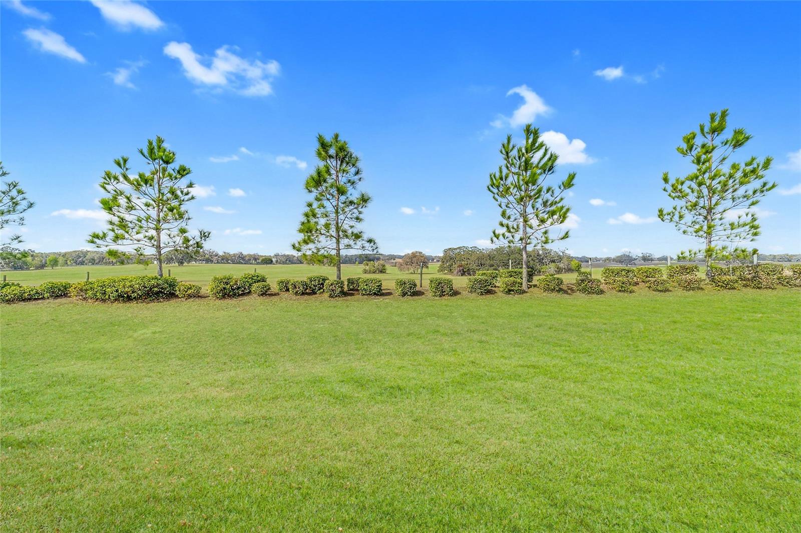 Image 42 of 62 For 9435 52nd Loop