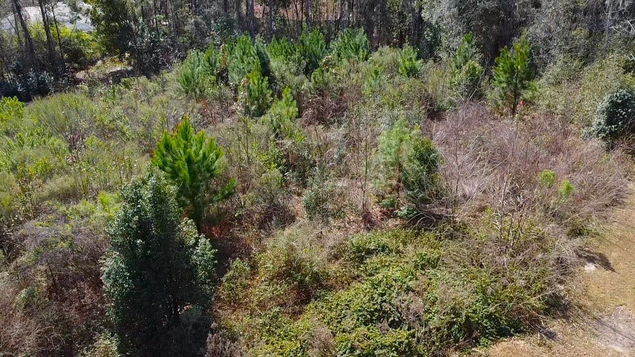 Image 6 of 8 For Tbd 41st Street