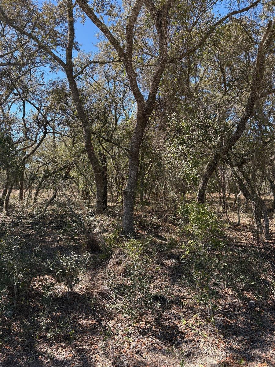 Listing Details for Tba Se 132nd Court Court, DUNNELLON, FL 34431