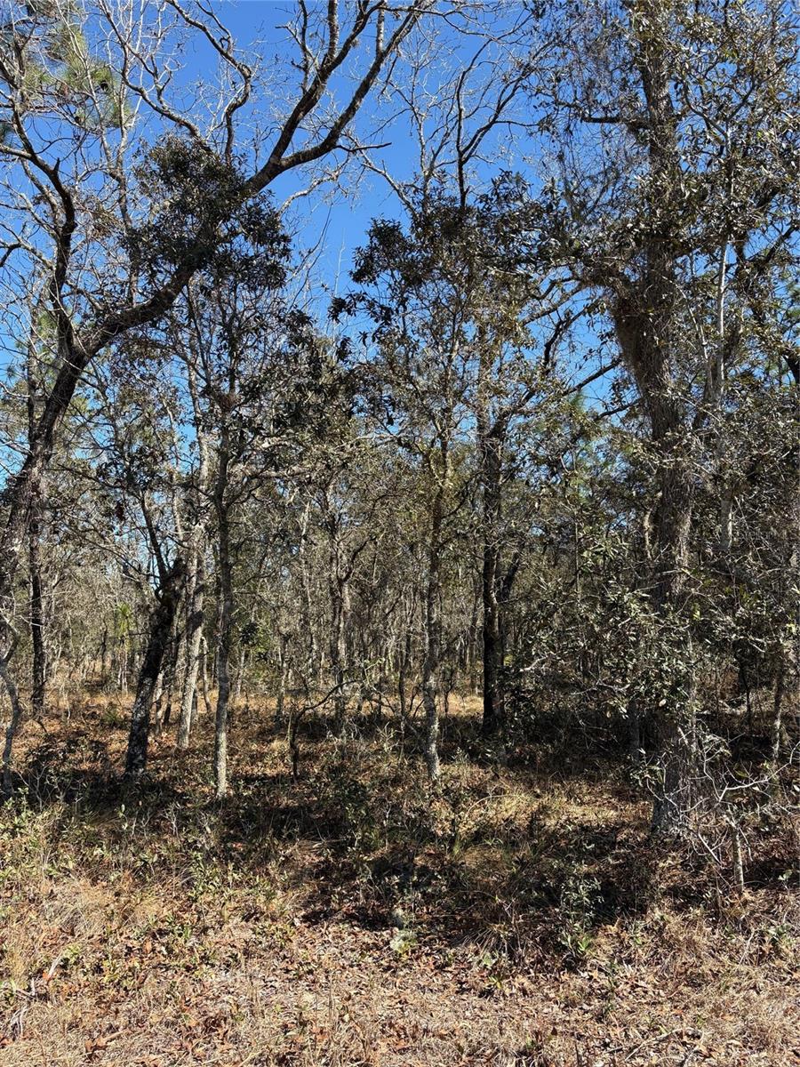 Listing Details for Tba 134th Terrace Terrace, DUNNELLON, FL 34431