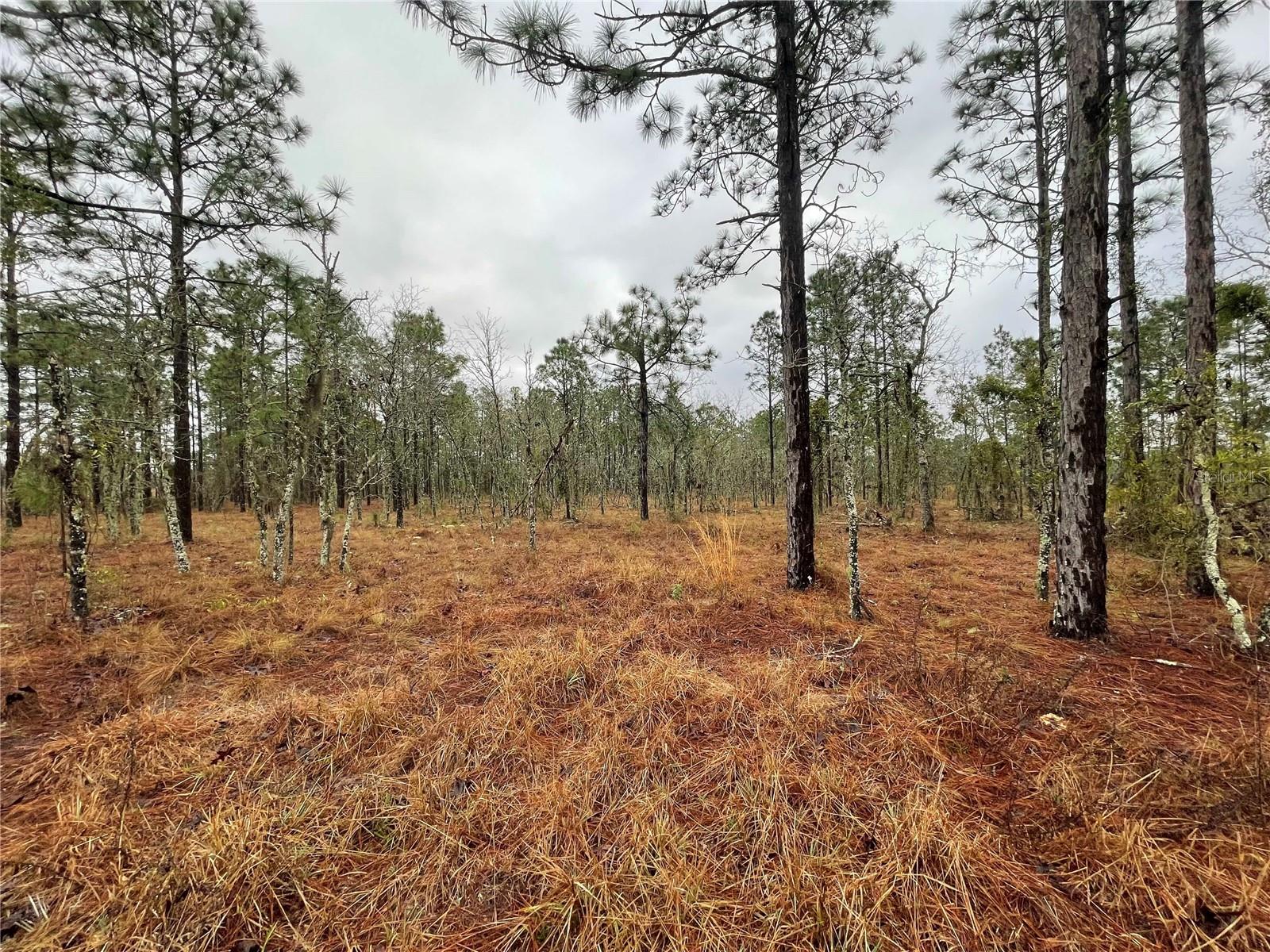 Image 3 of 6 For Tbd 71 Street