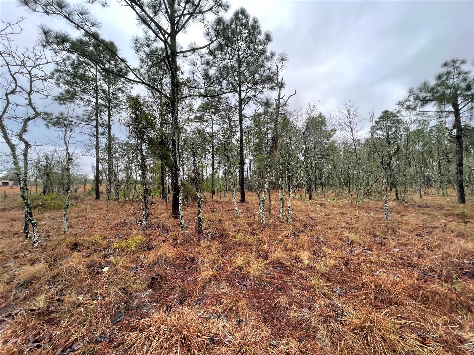 Image 4 of 6 For Tbd 71 Street