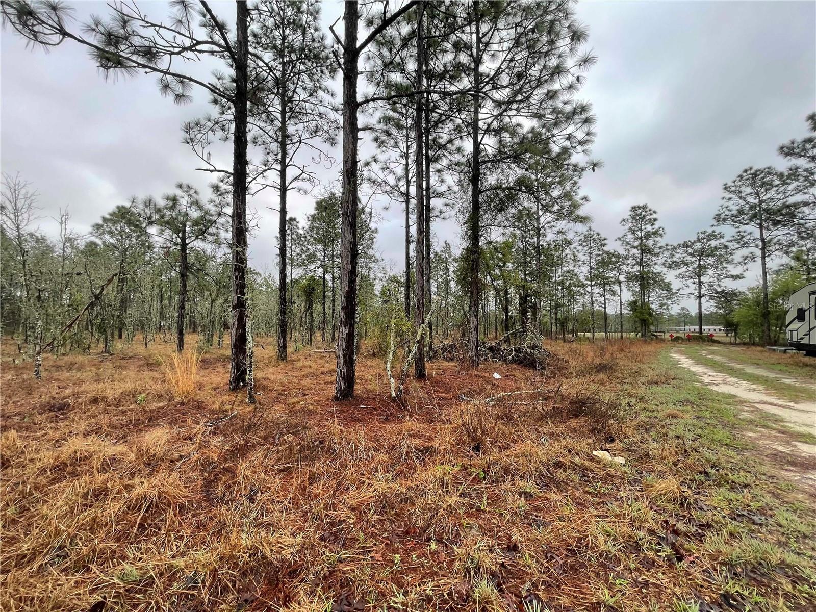 Image 5 of 6 For Tbd 71 Street