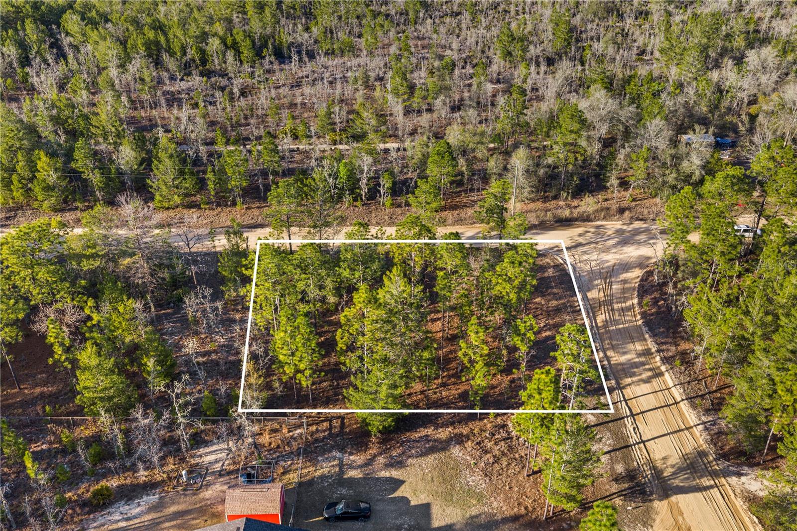 Image 5 of 11 For 000 Rose Street