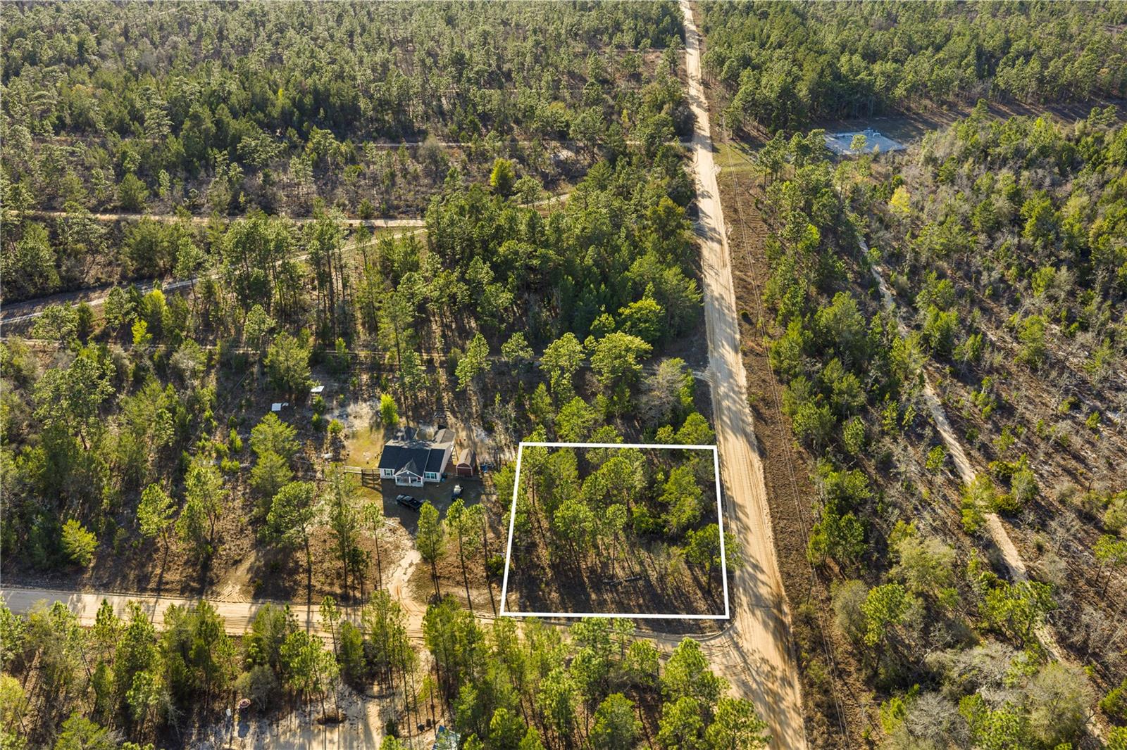 Image 8 of 11 For 000 Rose Street