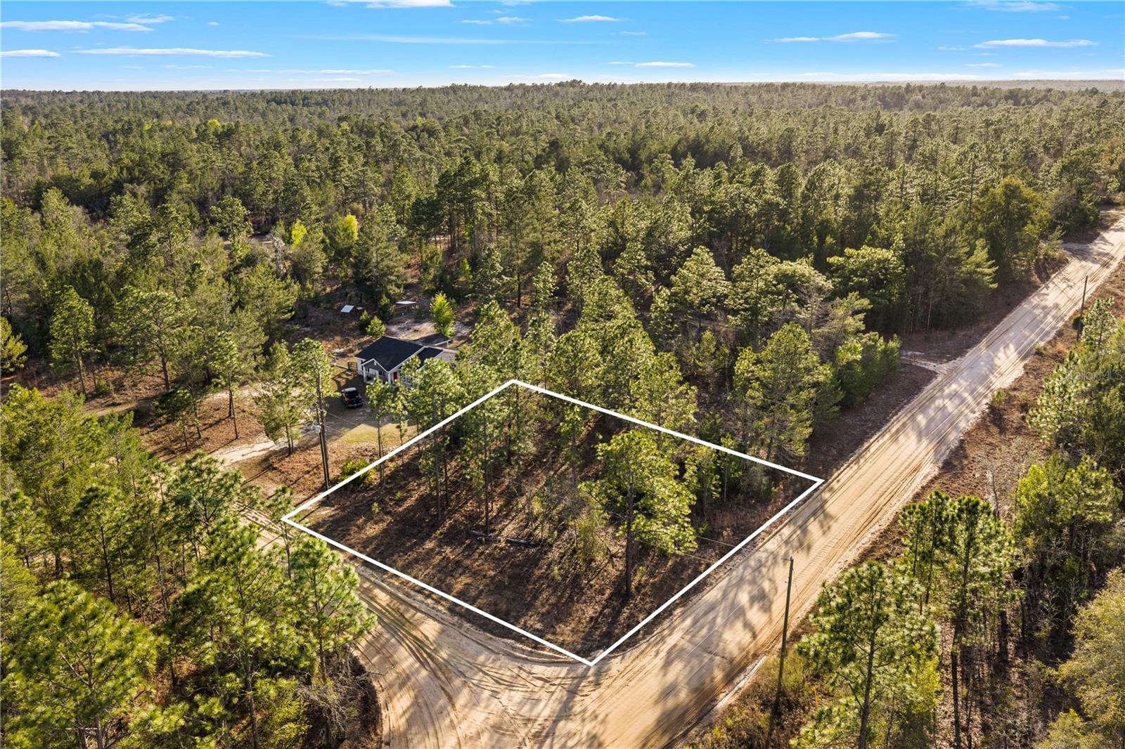 Image 9 of 11 For 000 Rose Street