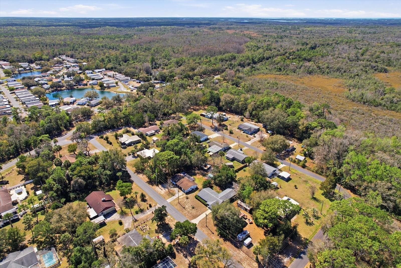 Image 40 of 42 For 455 Camellia Avenue