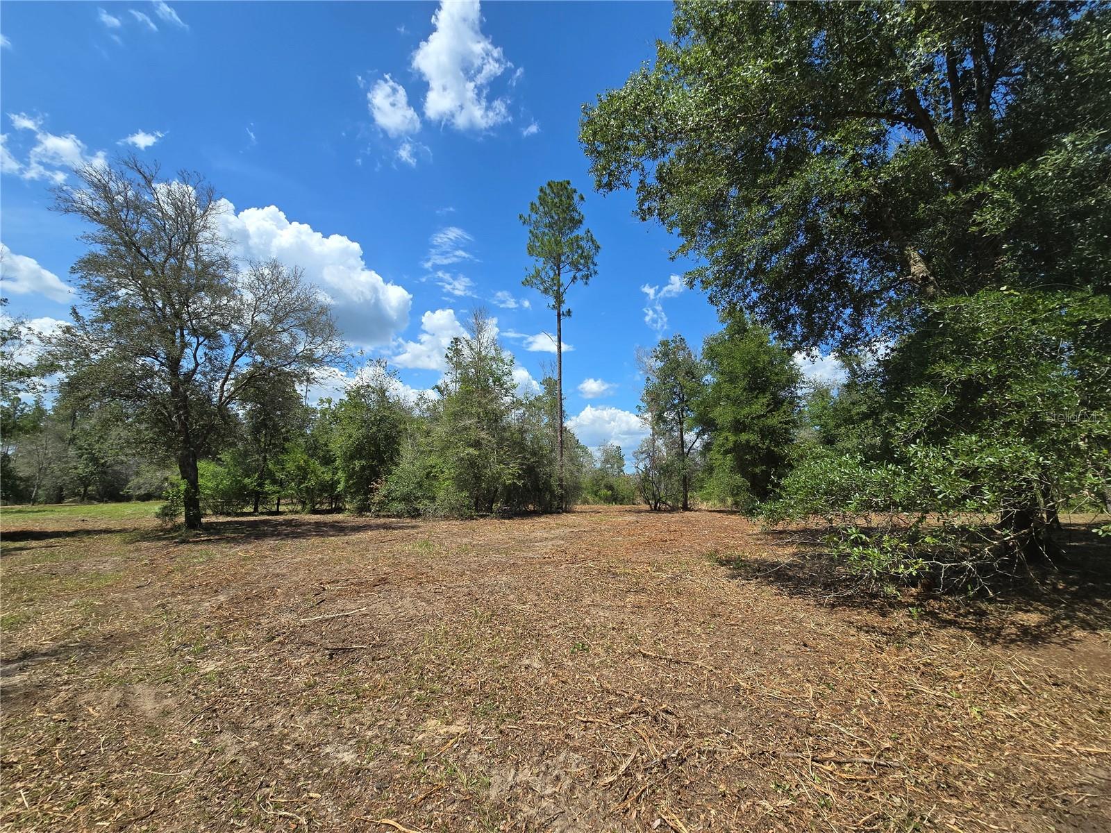 Image 14 of 30 For 7158 Lecanto Hwy Highway