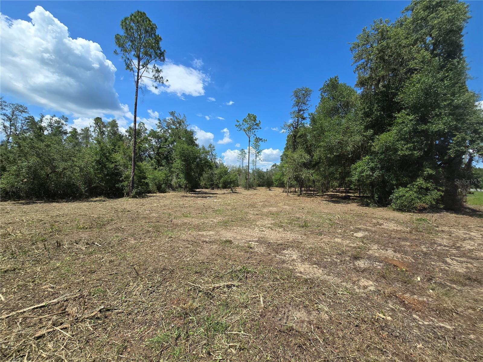 Image 26 of 30 For 7158 Lecanto Hwy Highway