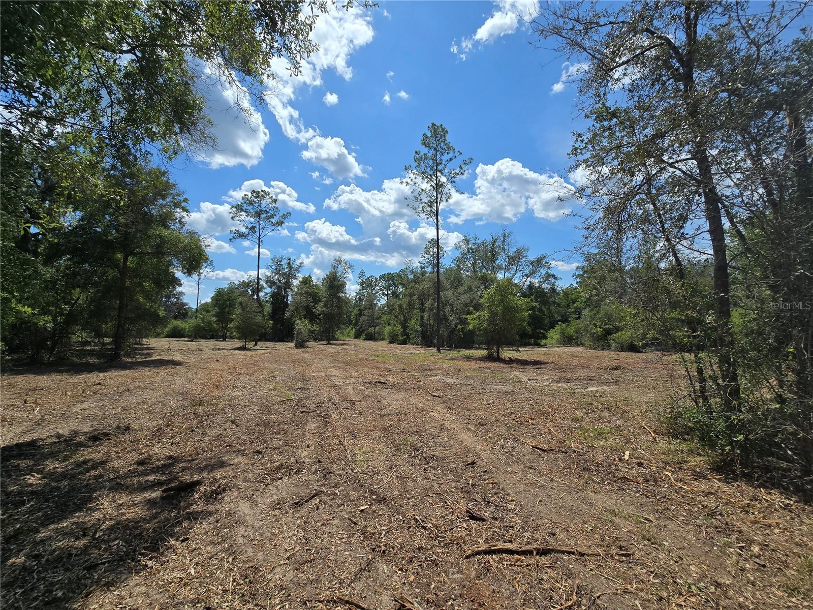 Image 28 of 30 For 7158 Lecanto Hwy Highway