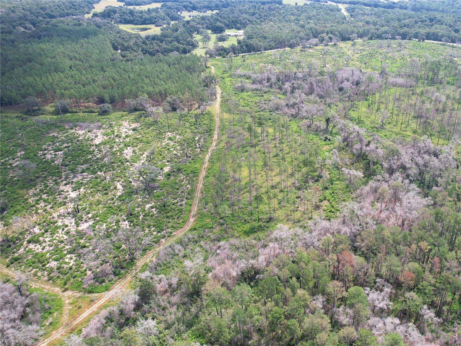 Image 7 of 30 For 7158 Lecanto Hwy Highway