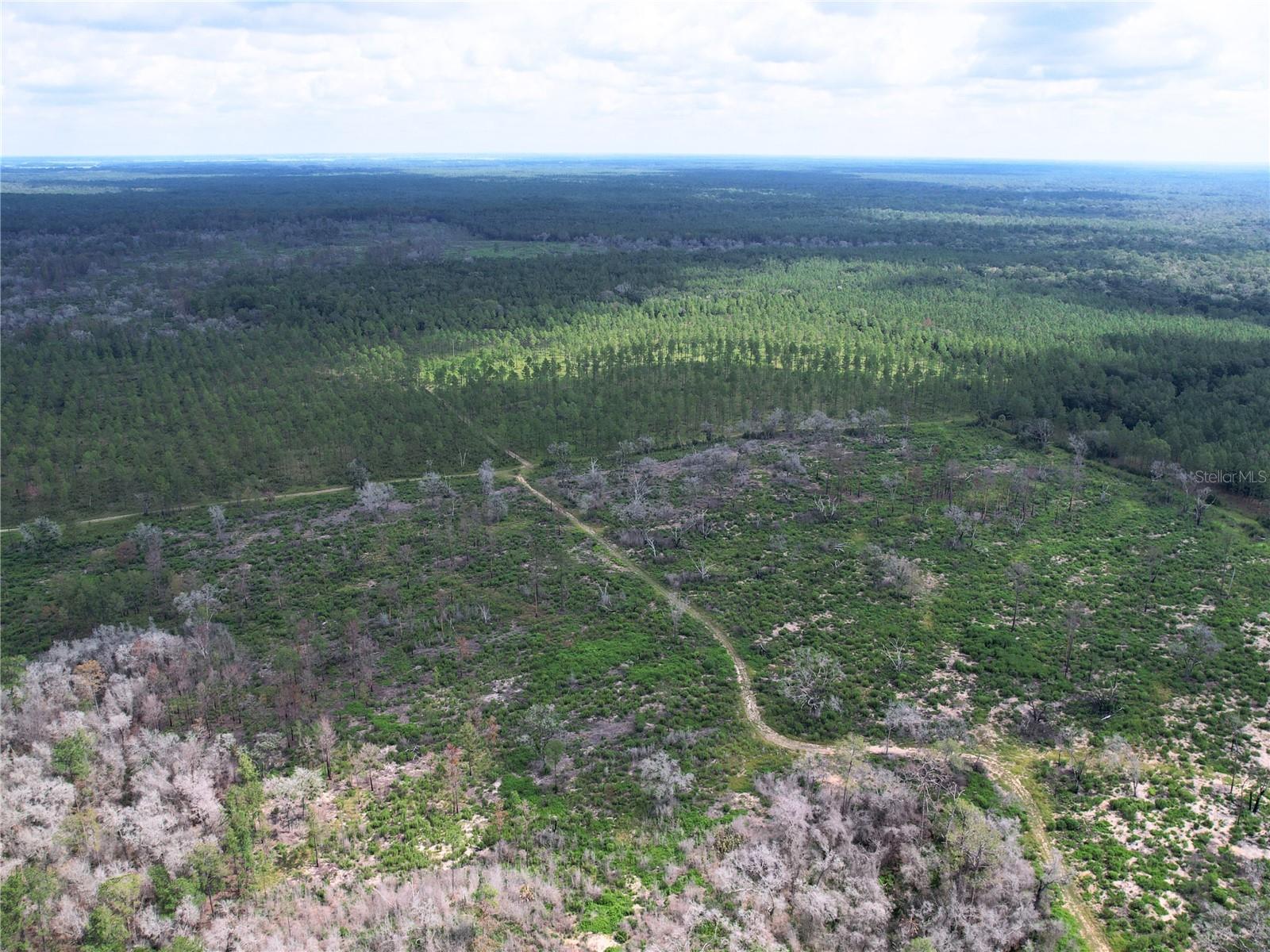 Image 8 of 30 For 7158 Lecanto Hwy Highway