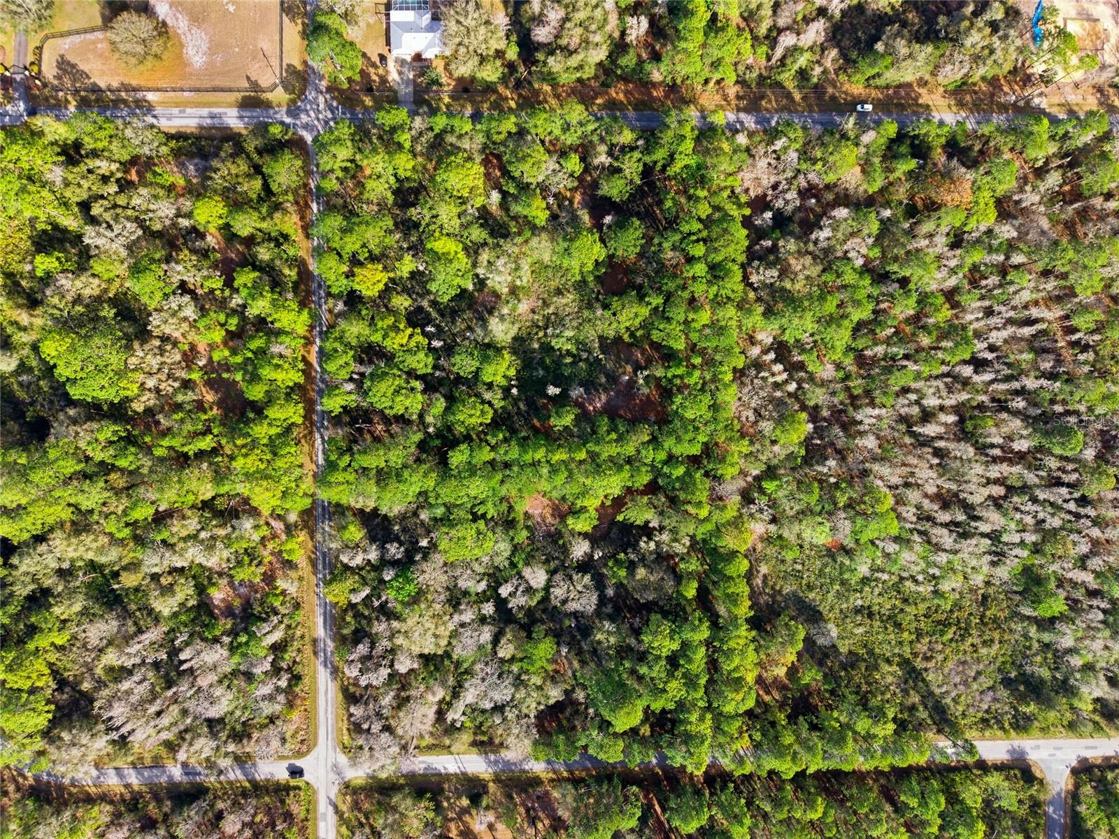 Image 11 of 21 For 9694 Cavewood Avenue