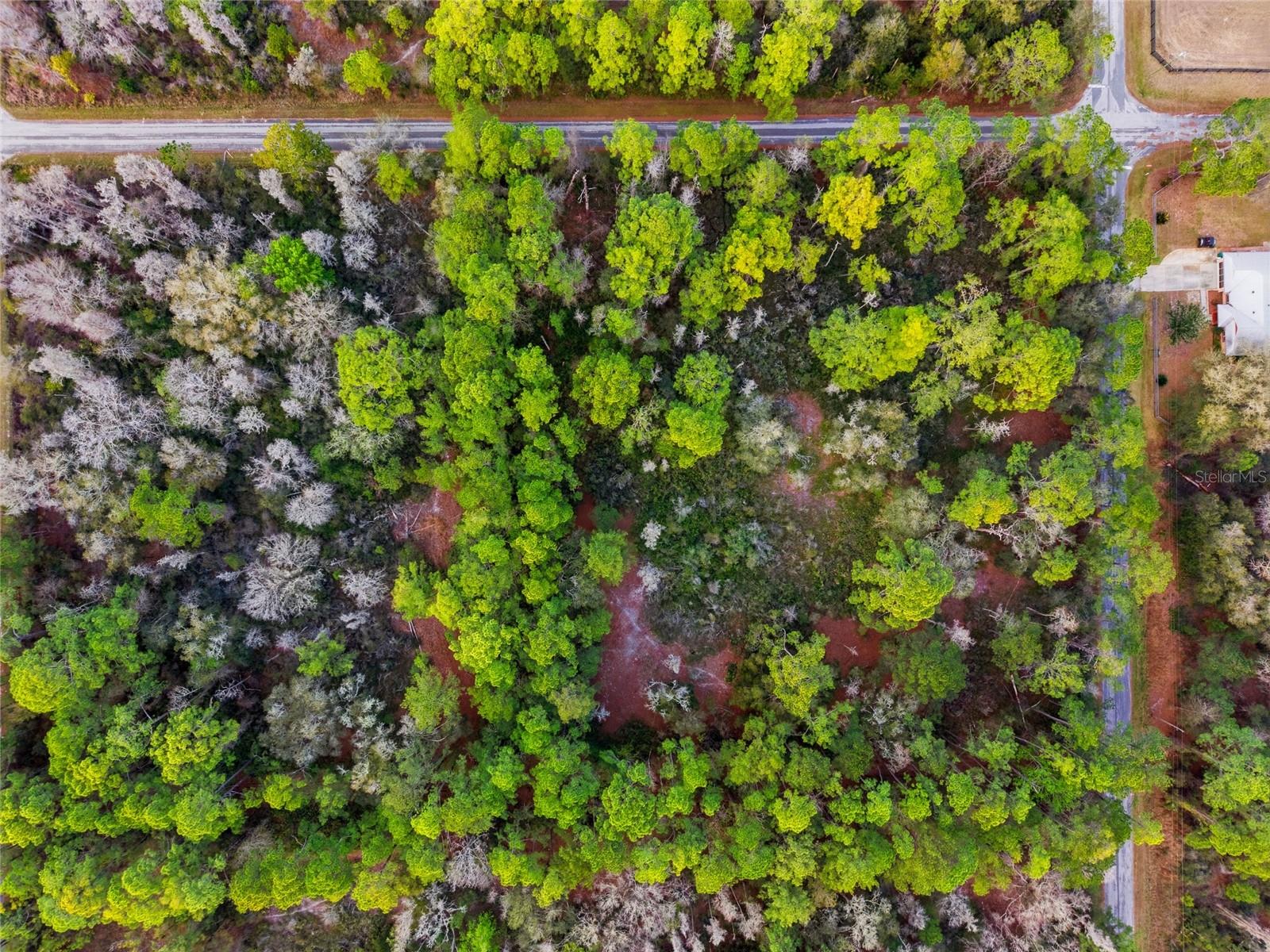 Image 18 of 21 For 9694 Cavewood Avenue