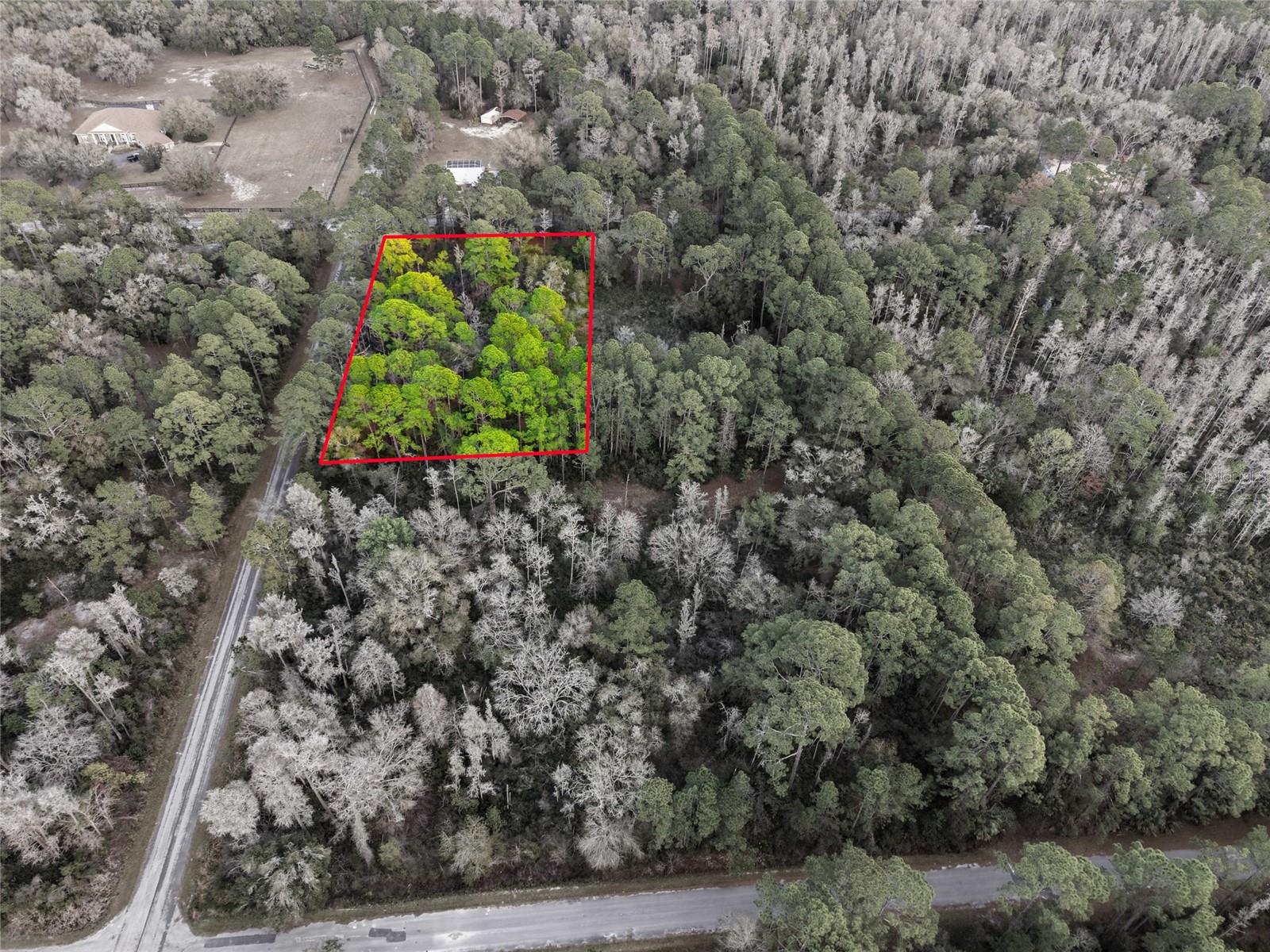 Image 21 of 21 For 9694 Cavewood Avenue