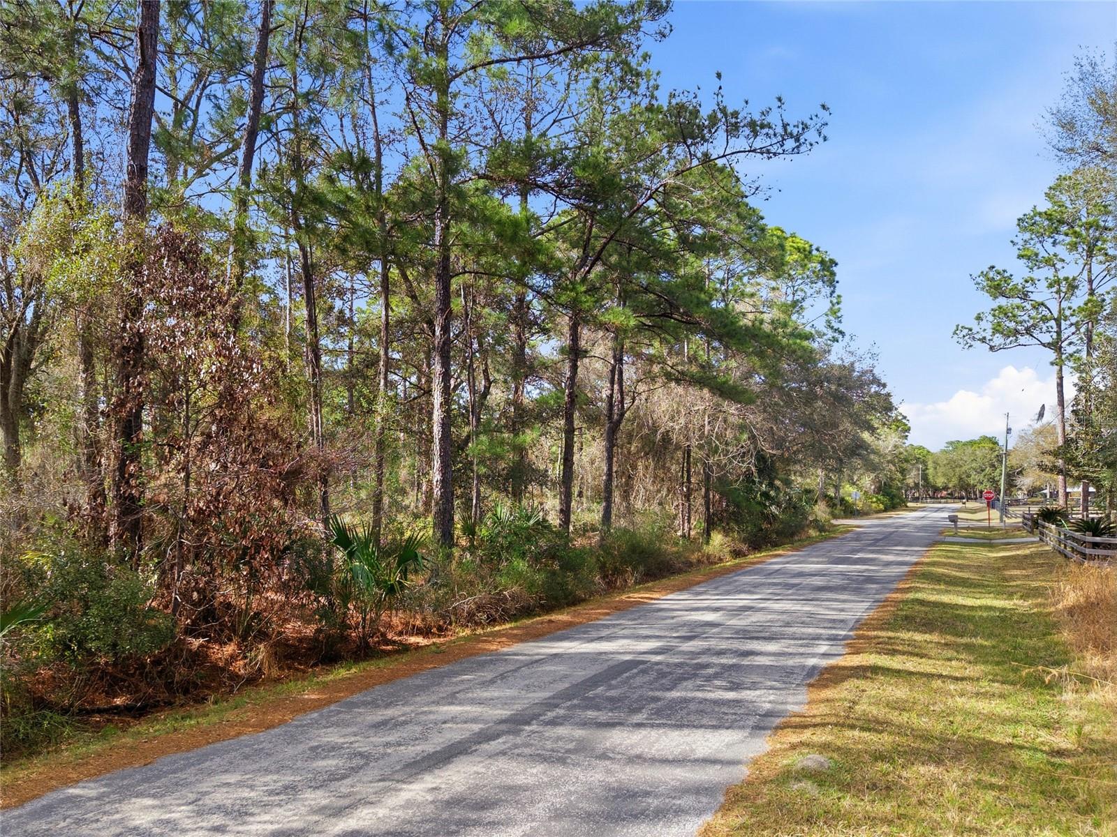 Image 4 of 21 For 9694 Cavewood Avenue