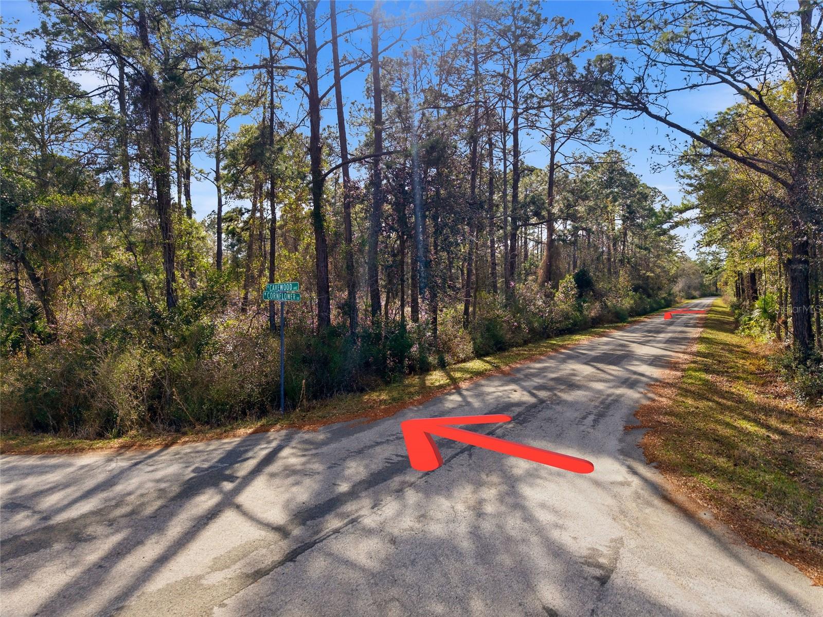 Image 8 of 21 For 9694 Cavewood Avenue