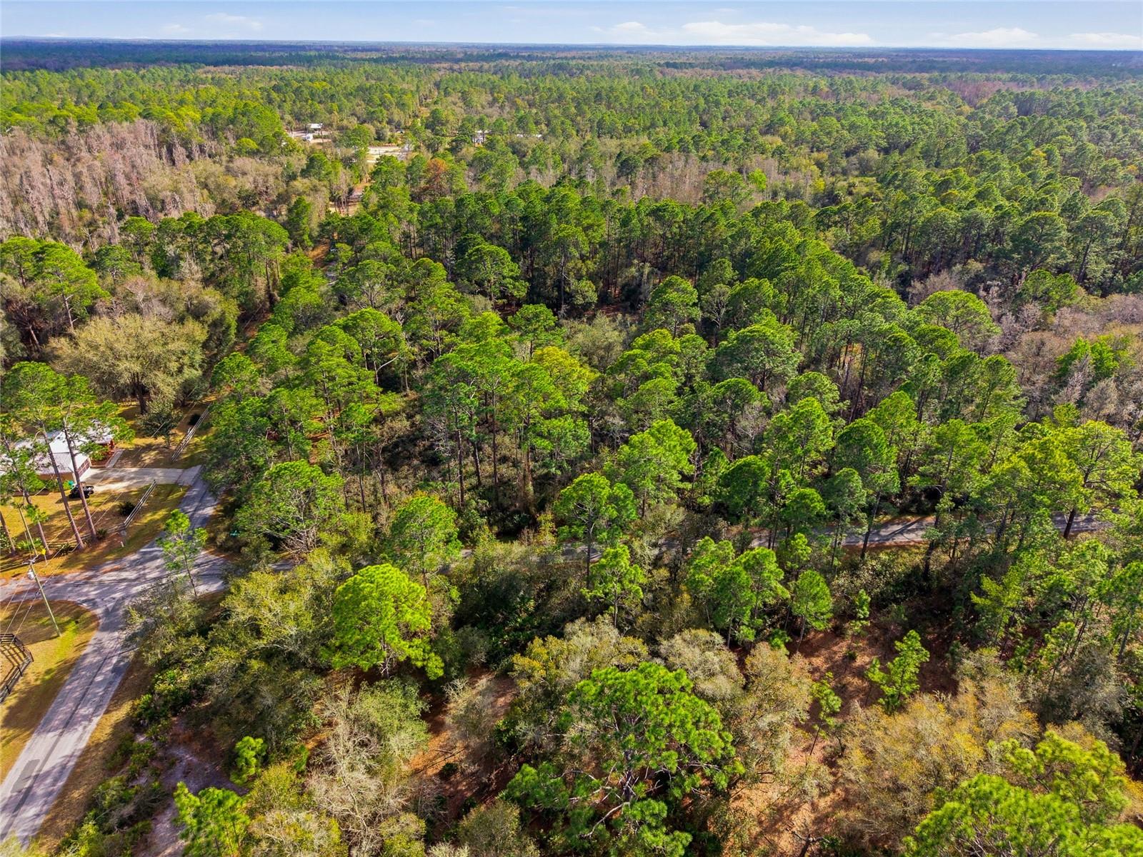 Image 9 of 21 For 9694 Cavewood Avenue