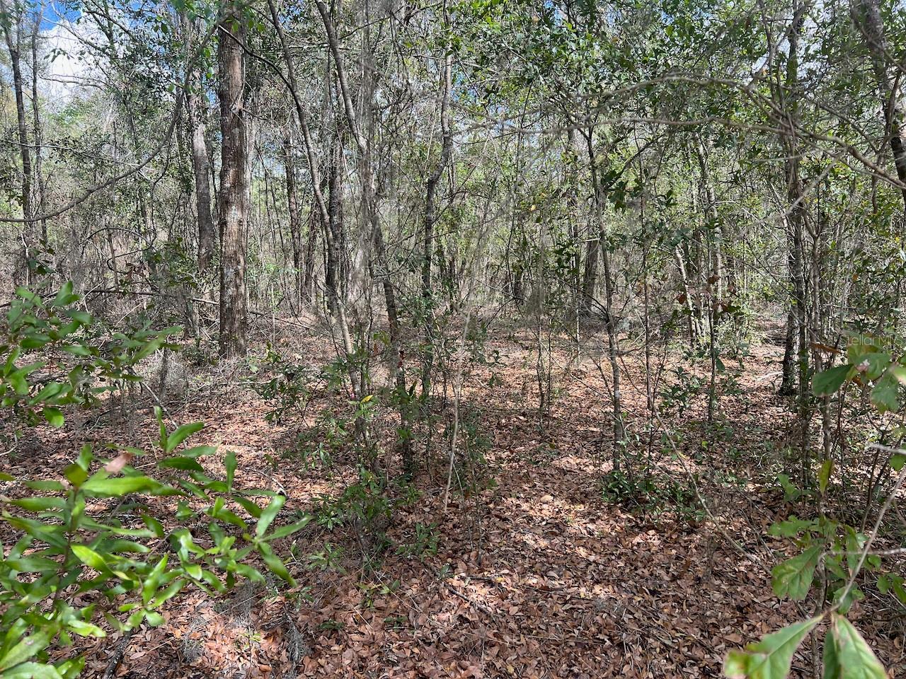 Image 18 of 22 For  Cr 339 Nw 