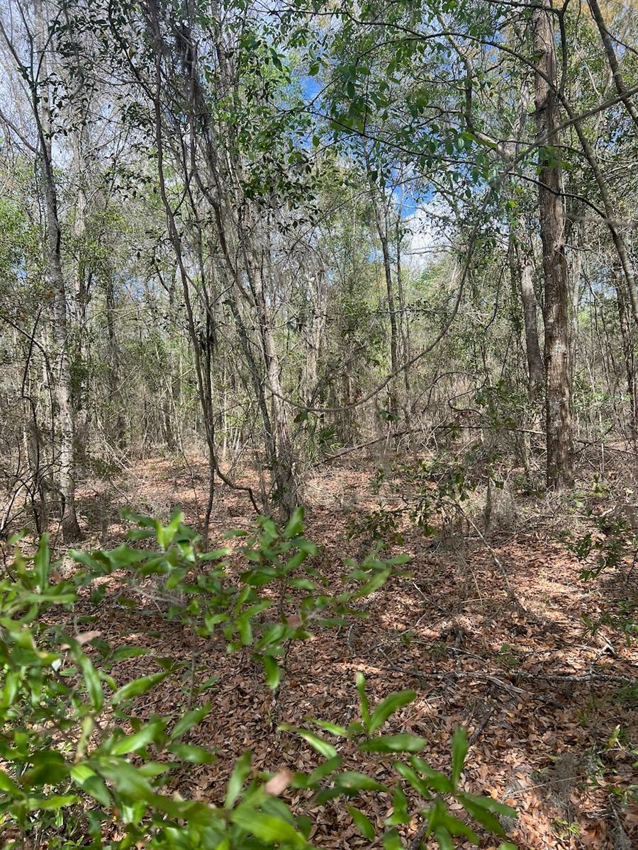 Image 19 of 22 For  Cr 339 Nw 