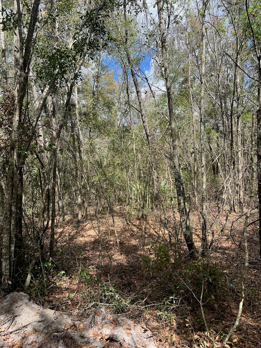 Image 20 of 22 For  Cr 339 Nw 