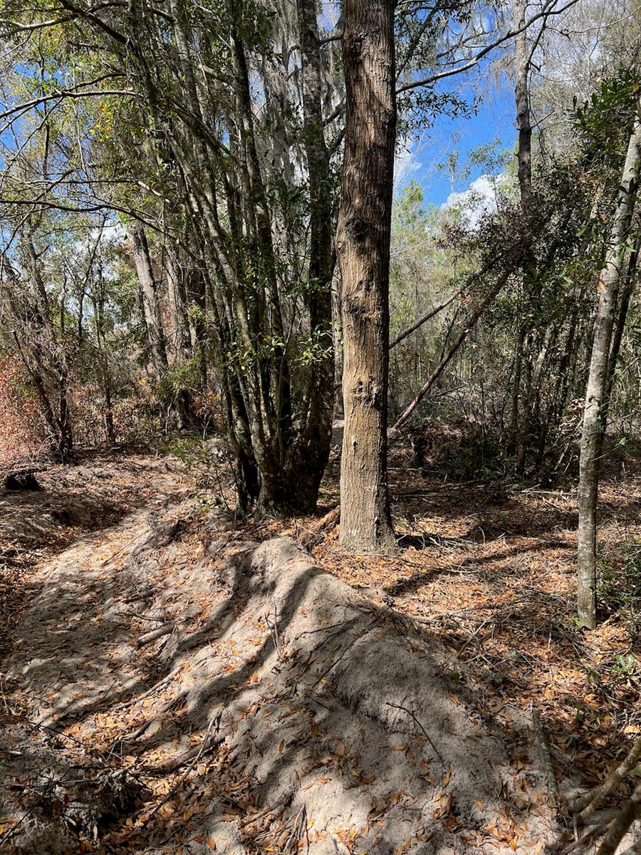 Image 21 of 22 For  Cr 339 Nw 