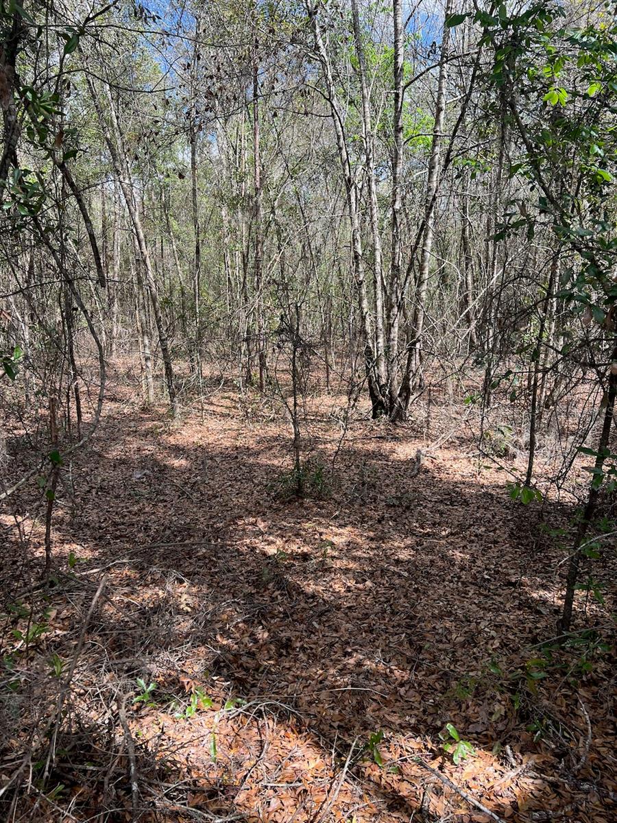 Image 22 of 22 For  Cr 339 Nw 