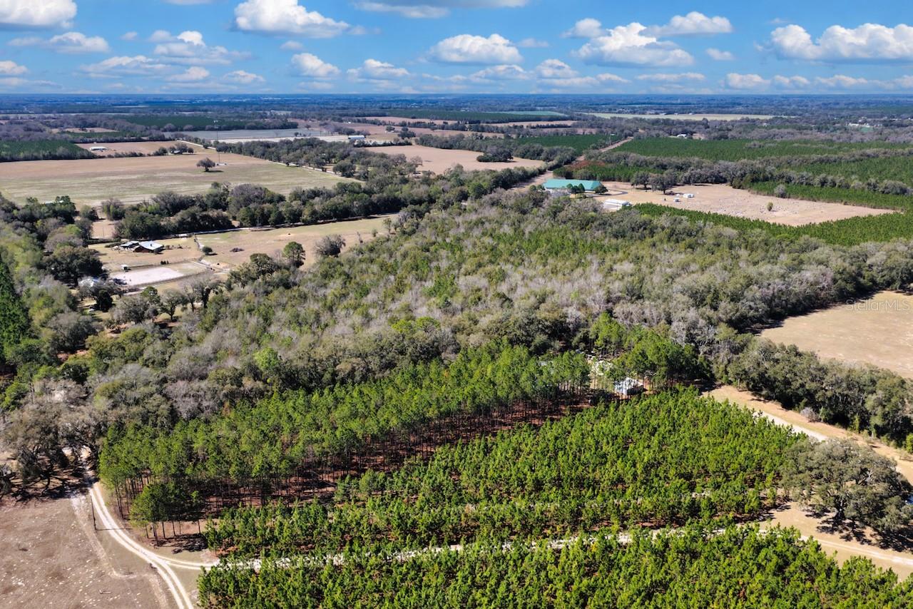 Image 6 of 22 For  Cr 339 Nw 