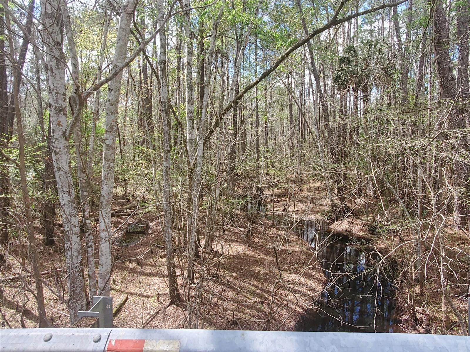 Image 8 of 8 For Tbd 172nd Place