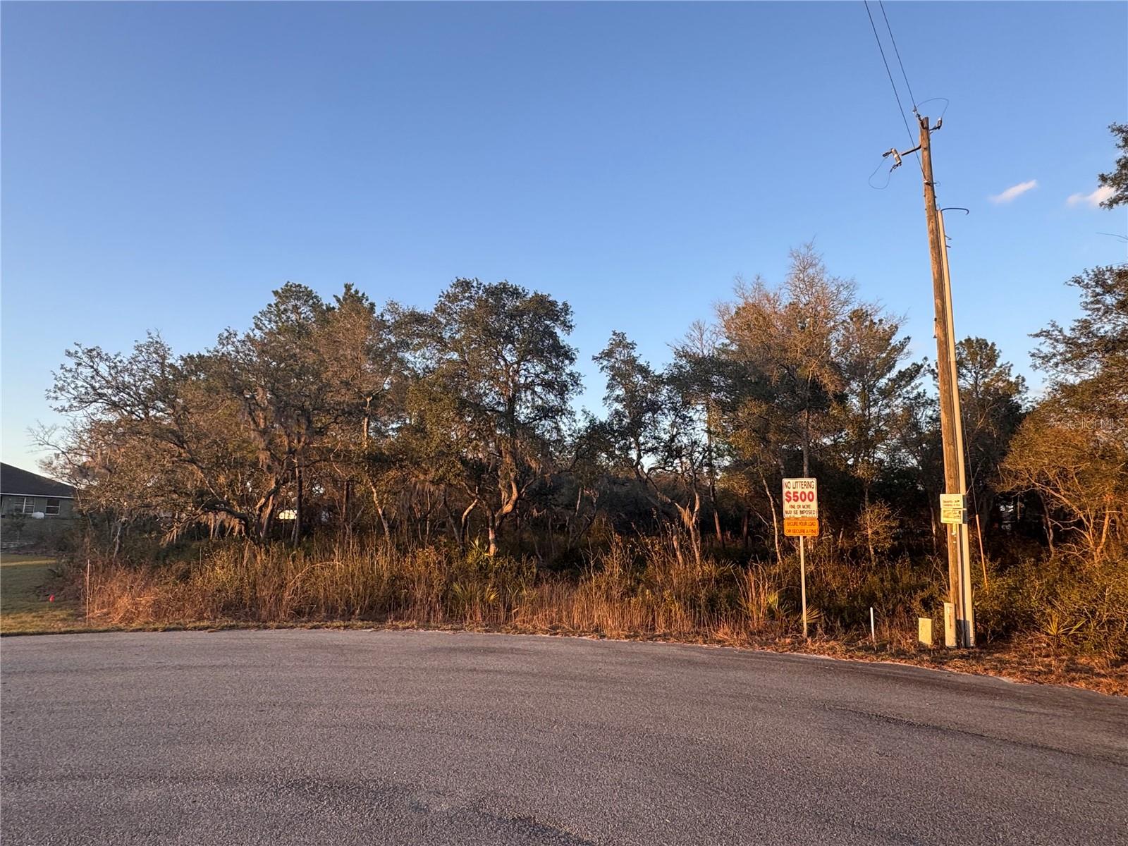 Image 2 of 10 For  98th Lane 