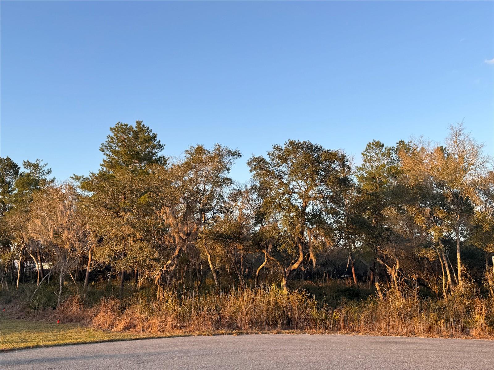 Image 3 of 10 For  98th Lane 