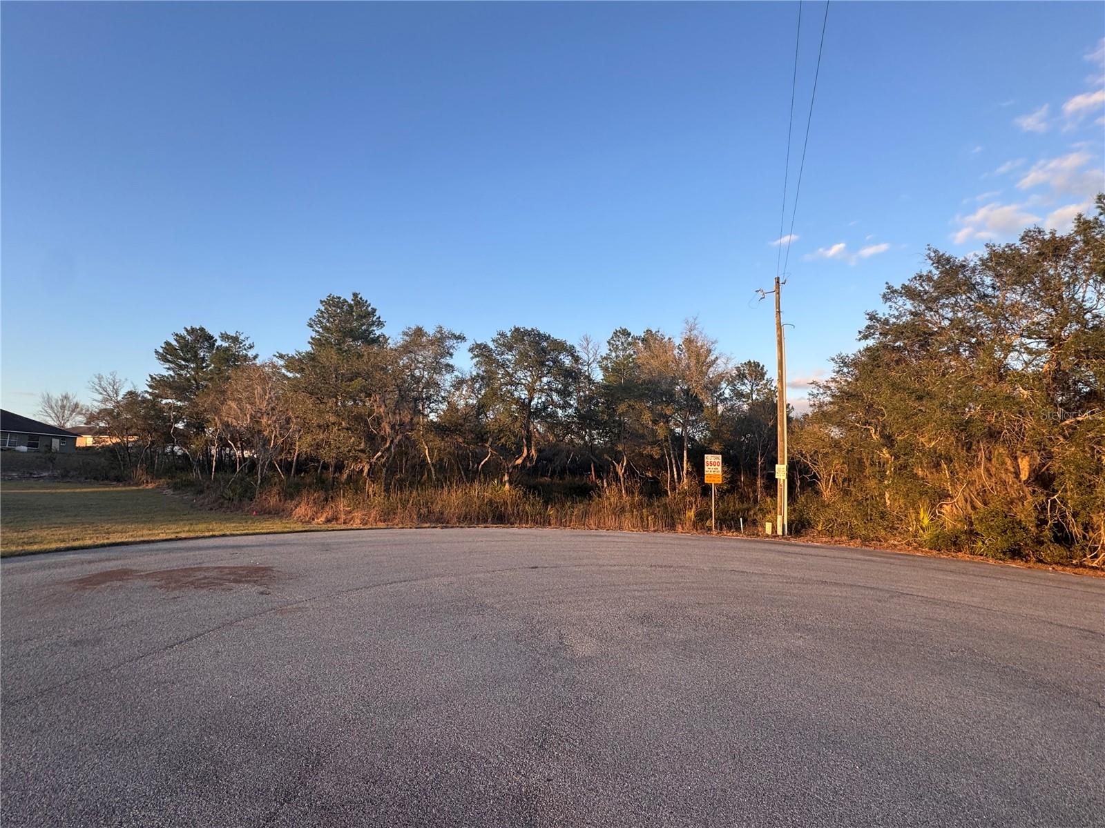 Image 4 of 10 For  98th Lane 