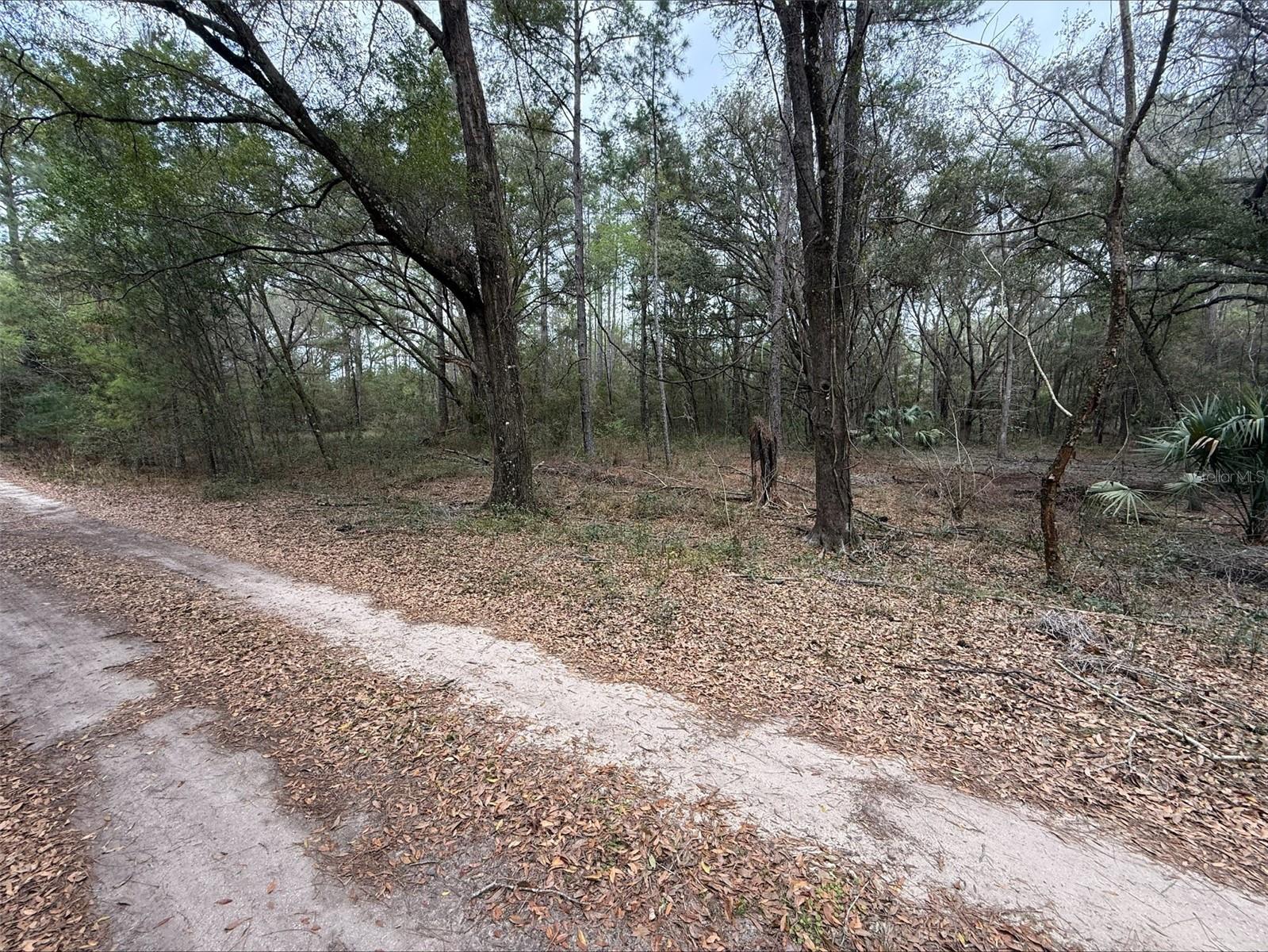 Image 2 of 9 For 00 9th Place