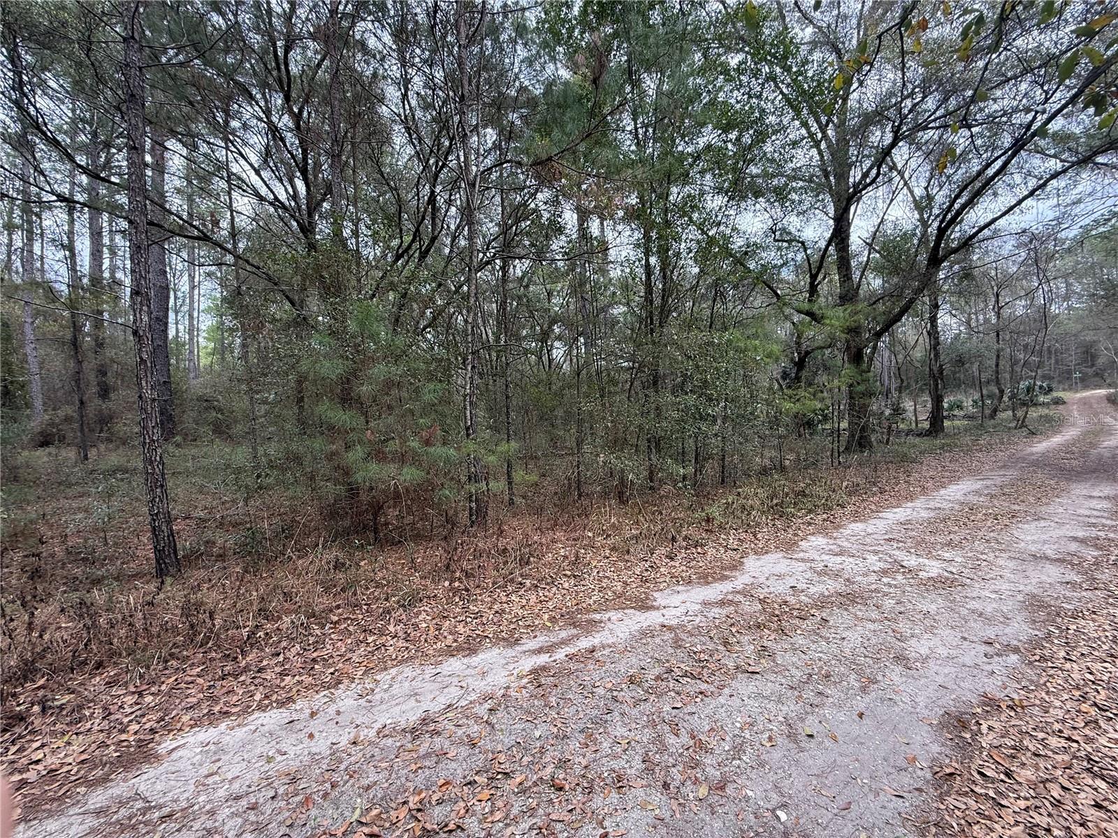 Image 3 of 9 For 00 9th Place