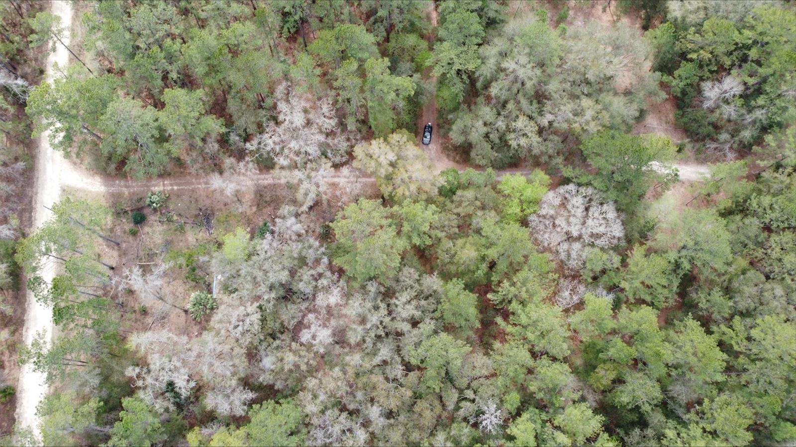 Image 4 of 9 For 00 9th Place