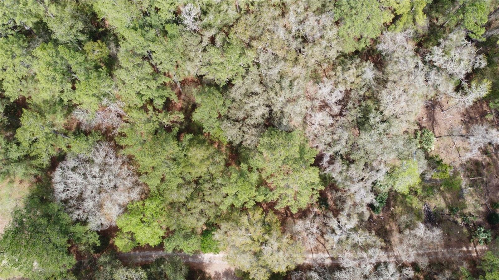 Image 5 of 9 For 00 9th Place