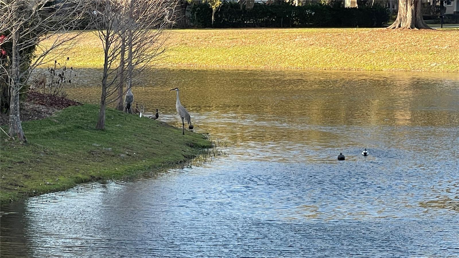 Image 44 of 49 For 19655 Spring Oak Drive