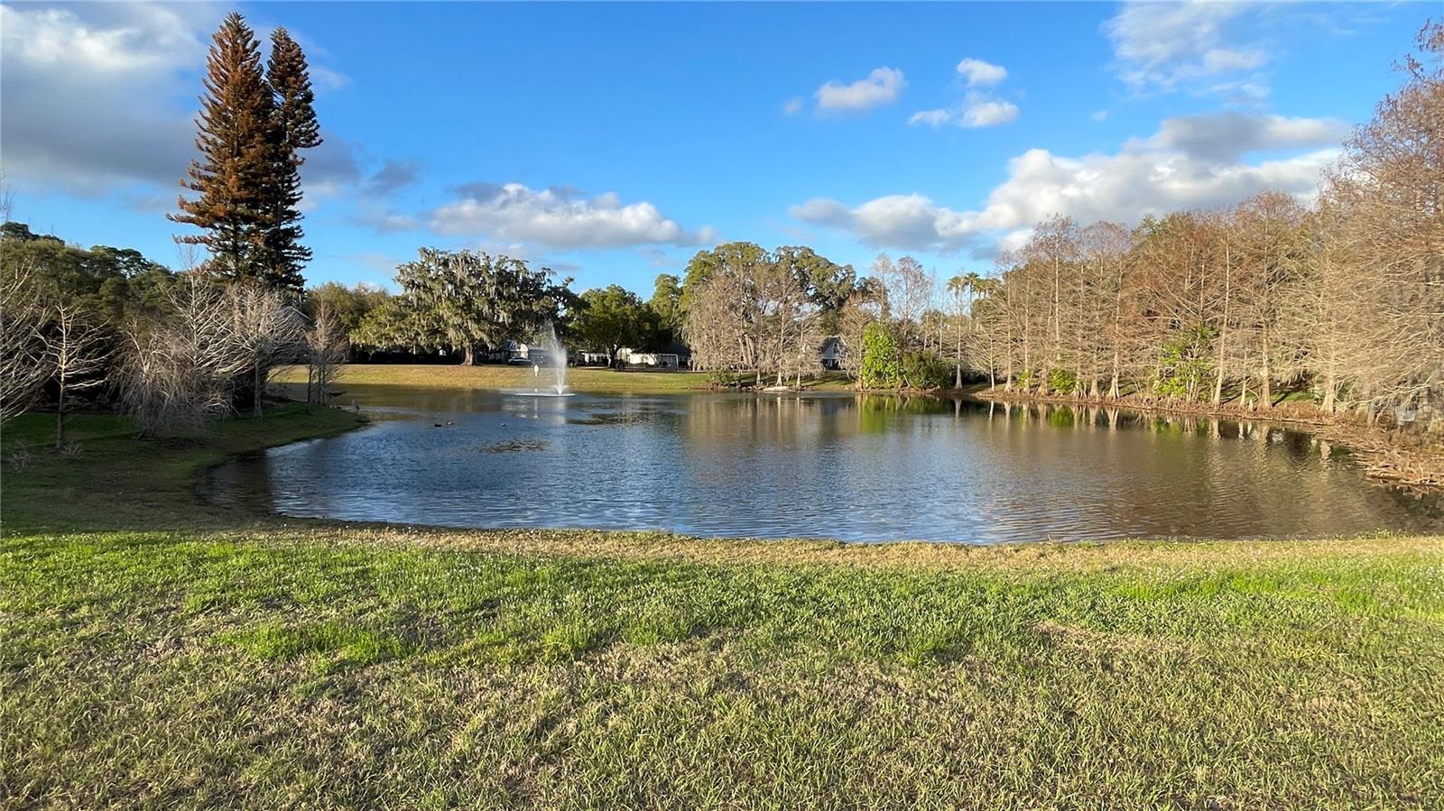 Image 45 of 49 For 19655 Spring Oak Drive