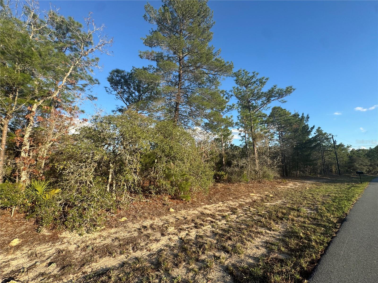 Image 2 of 5 For 4035 Abeline Drive