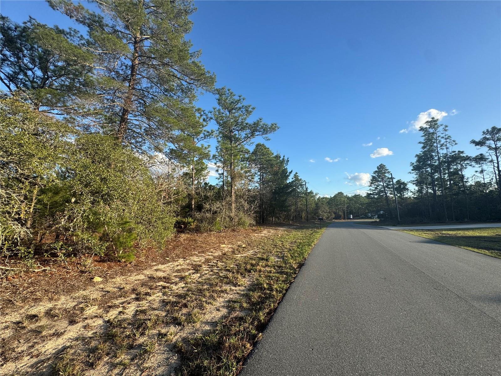 Image 3 of 5 For 4035 Abeline Drive