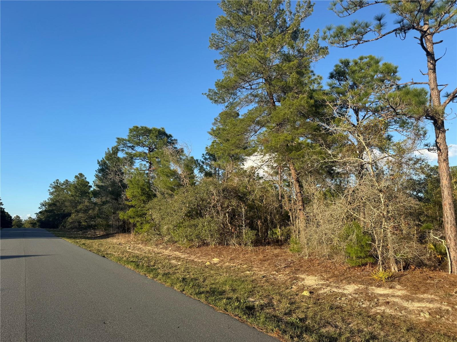 Image 4 of 5 For 4035 Abeline Drive