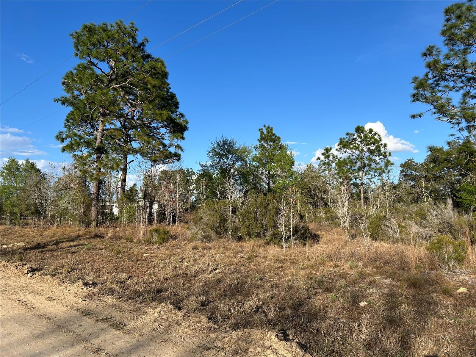 Image 2 of 10 For 1091 127th Court