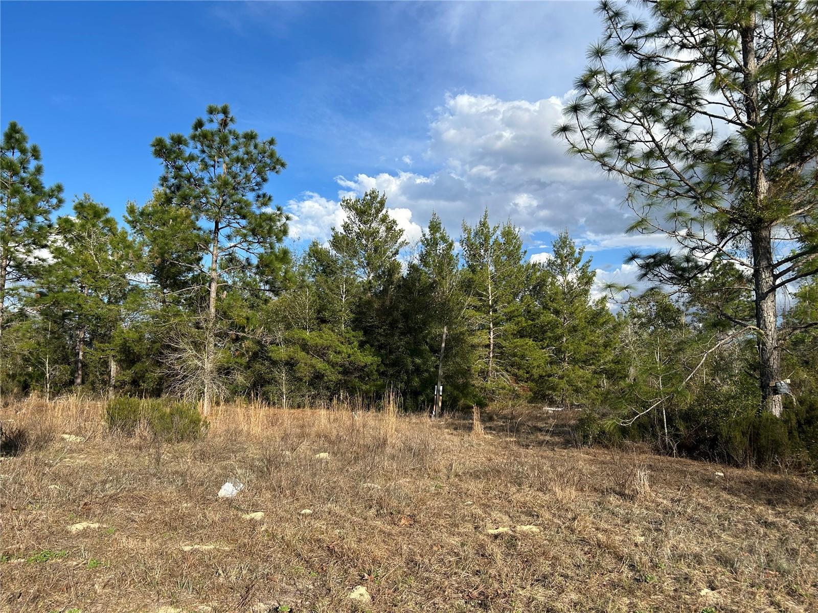 Image 5 of 10 For 1091 127th Court