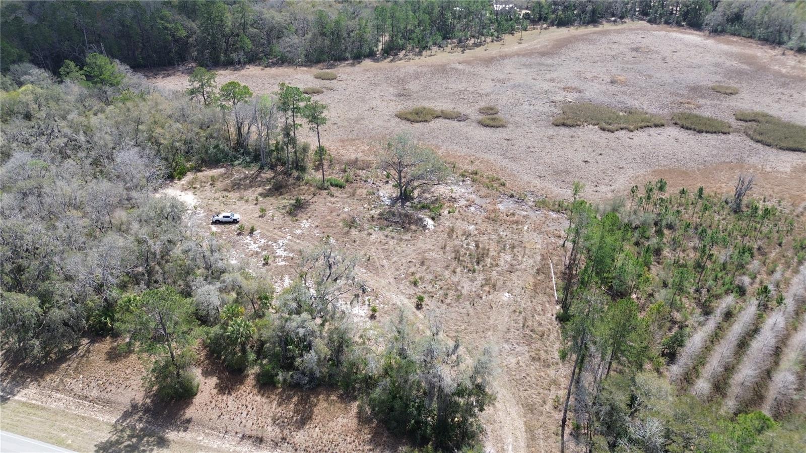 Details for  Hwy 316  , CITRA, FL 32113