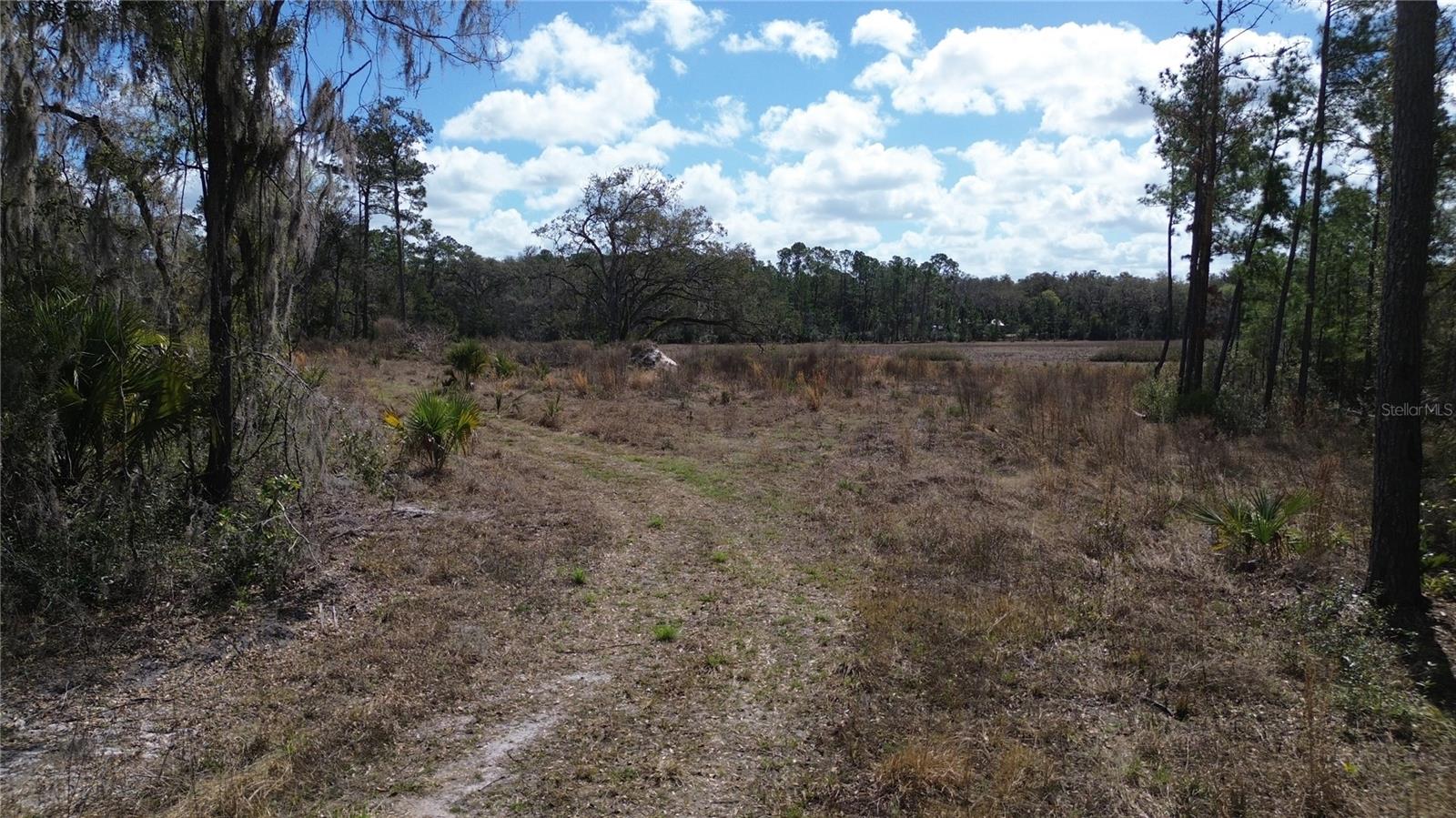 Image 6 of 14 For  Hwy 316  