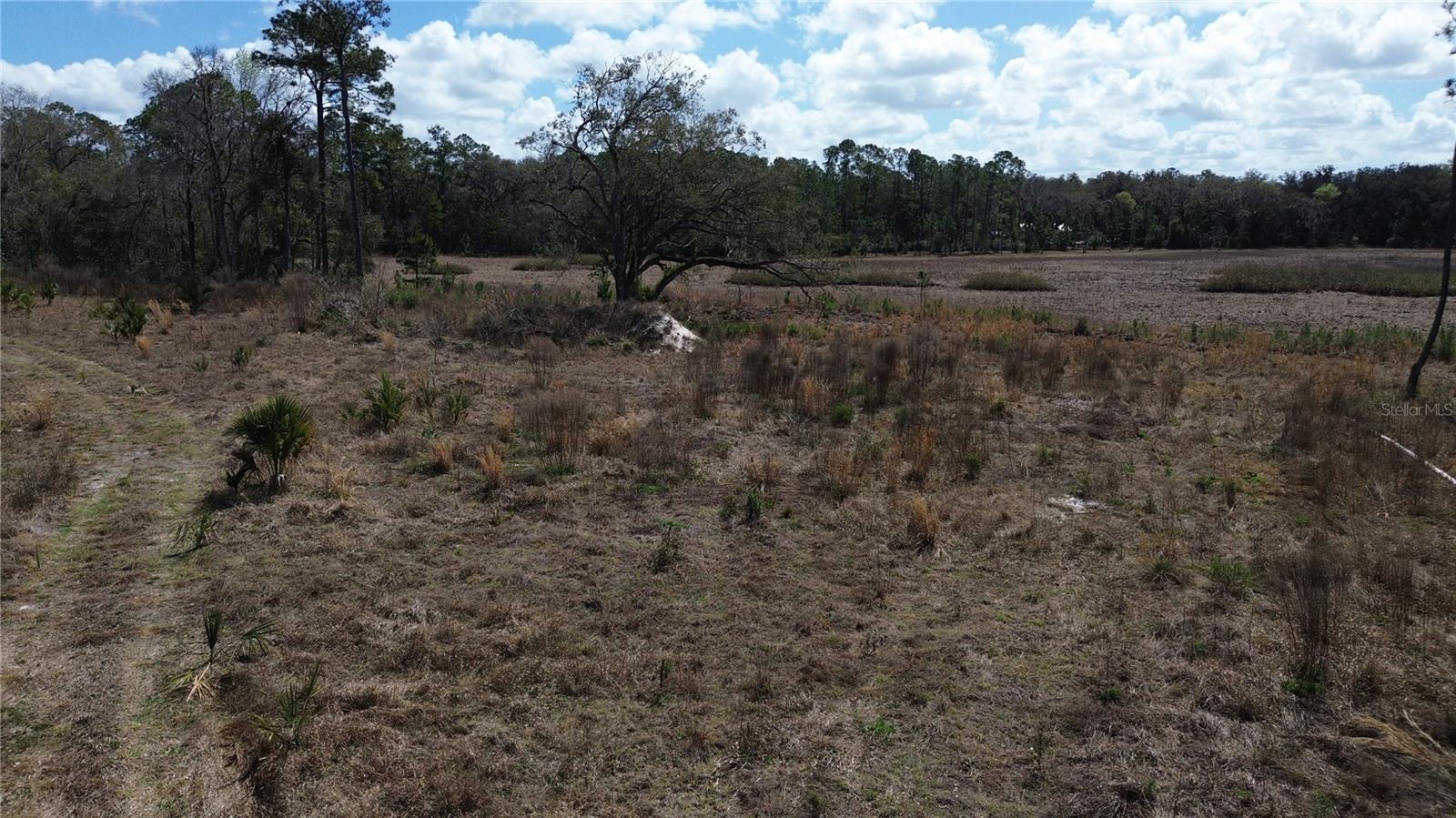 Image 7 of 14 For  Hwy 316  