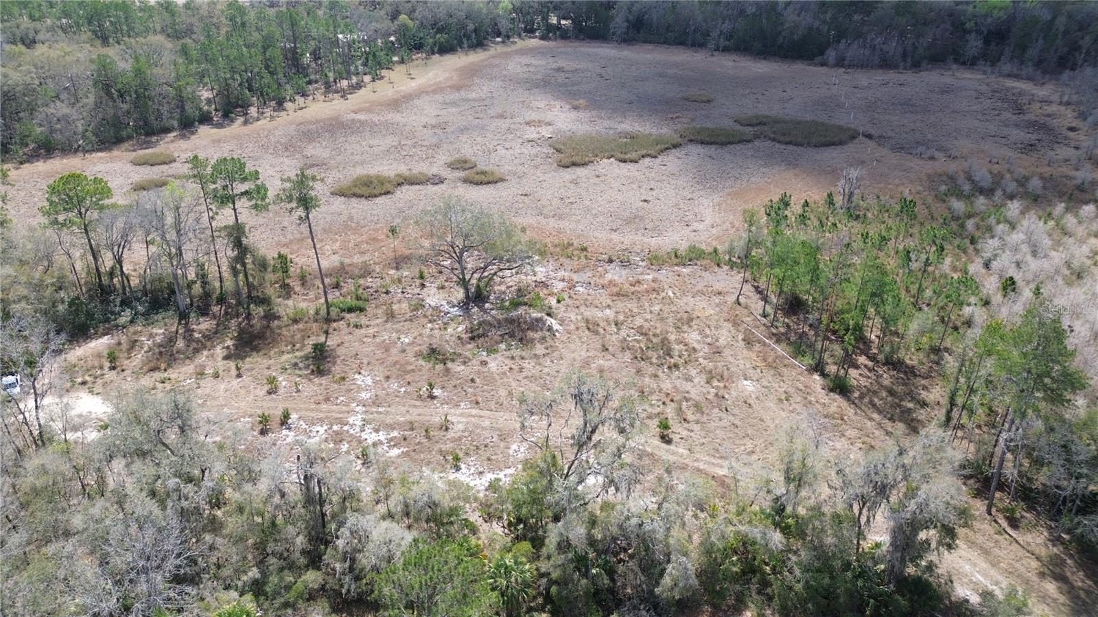 Image 9 of 14 For  Hwy 316  